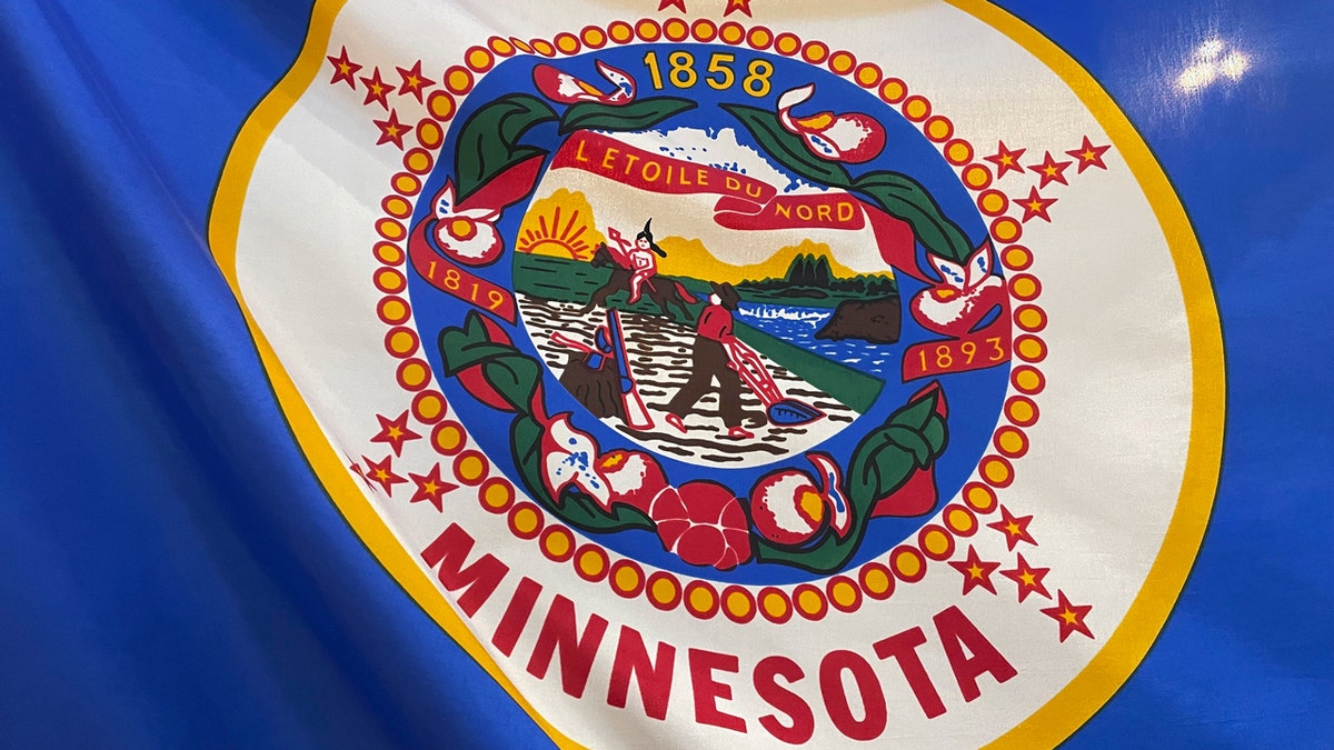 Minnesota state flag.