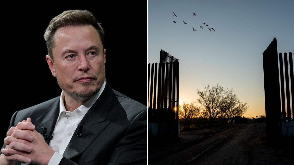 Musk and border wall