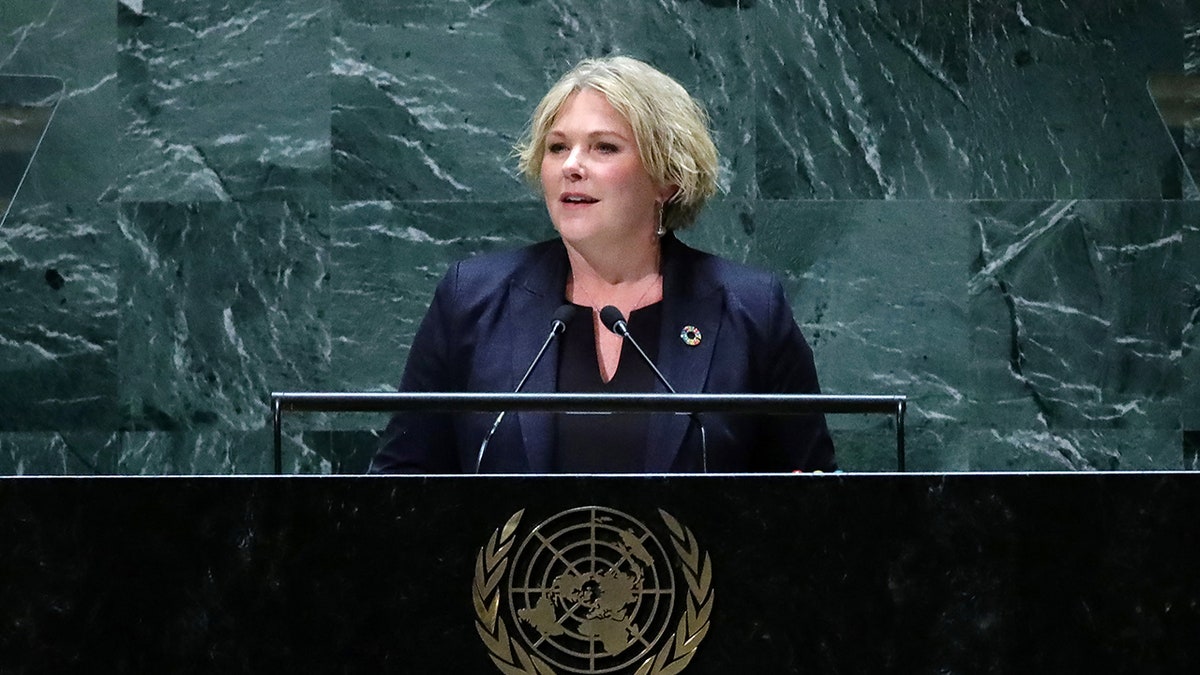 Norway's Minister of International Development speaking