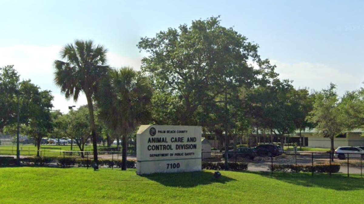 Palm Beach County Animal Care & Control exteriors