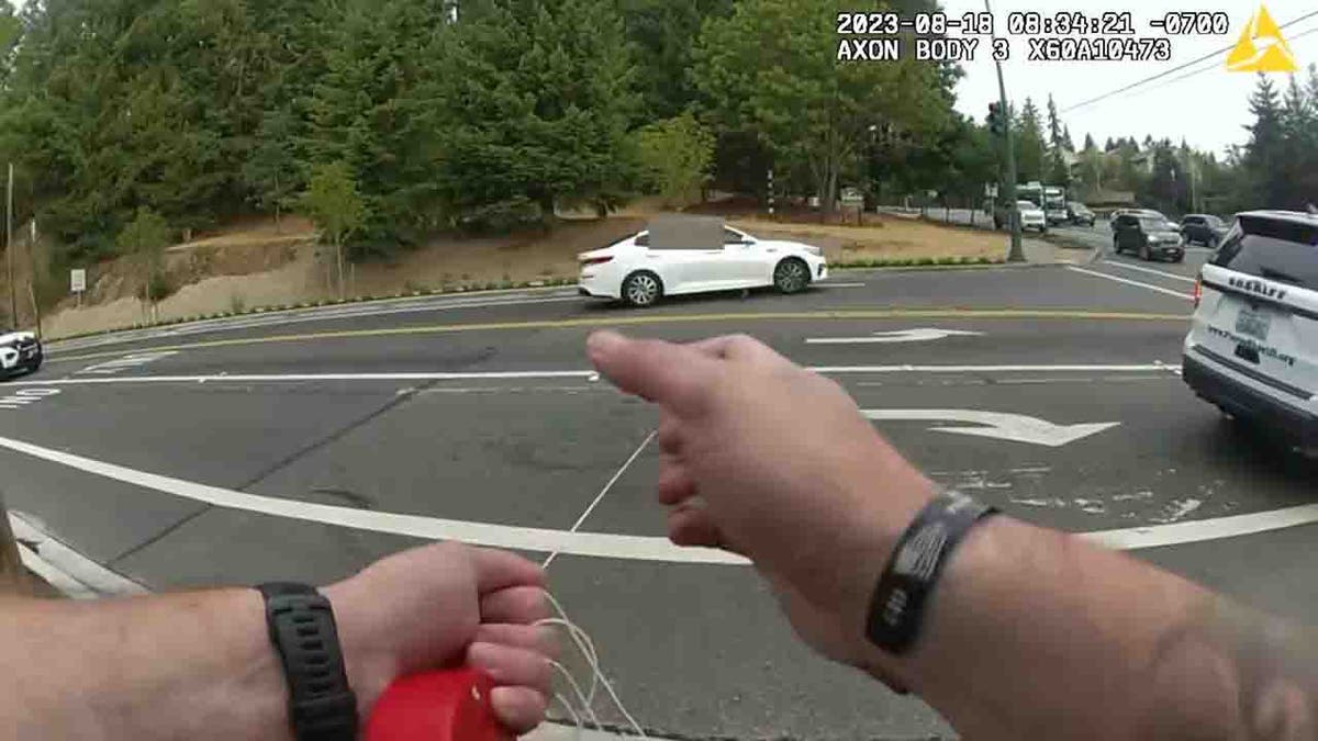 Pierce County deputy using stop stick