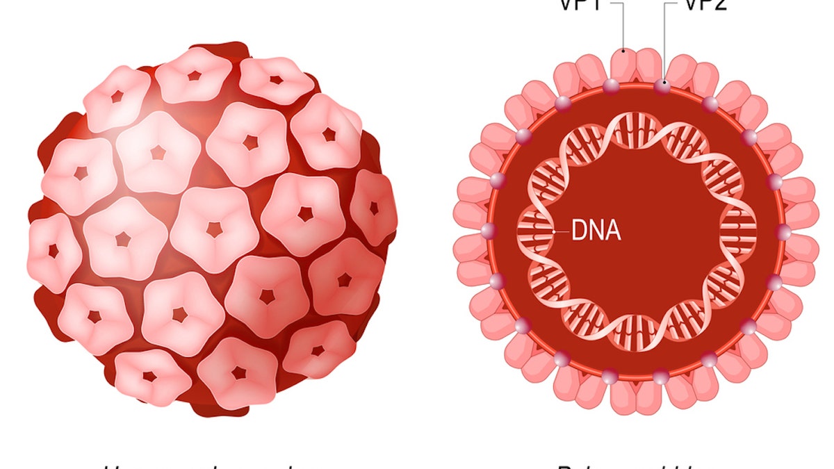 Merkel cell polyomavirus