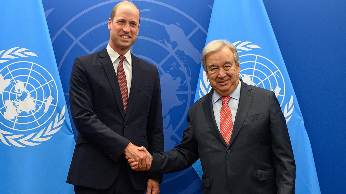 Prince William at the UN