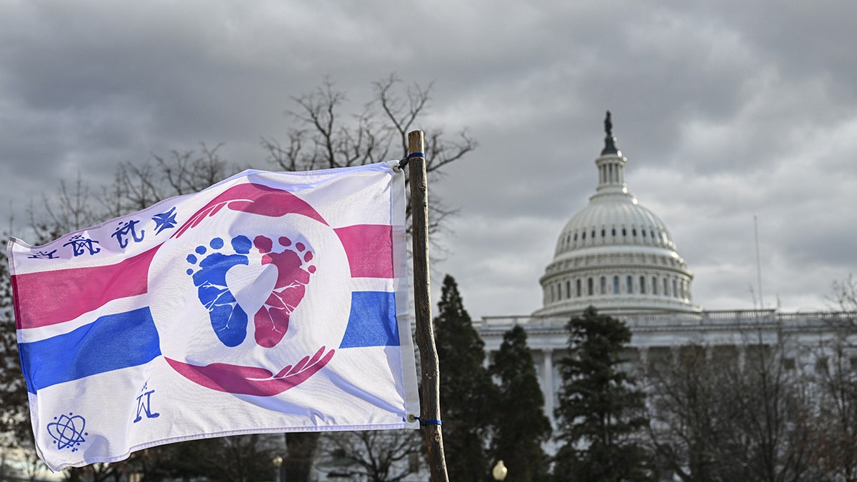 A pro-life flag flies at the March for Life in Washington, D.C.