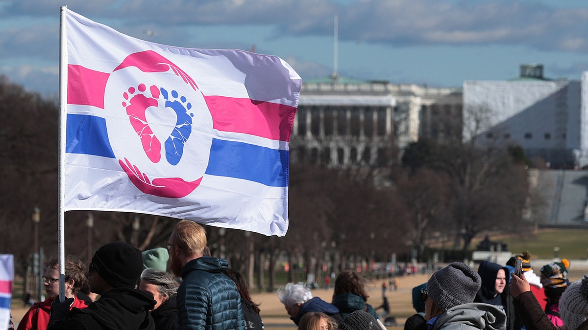 Annual March For Life Held In Washington, D.C.