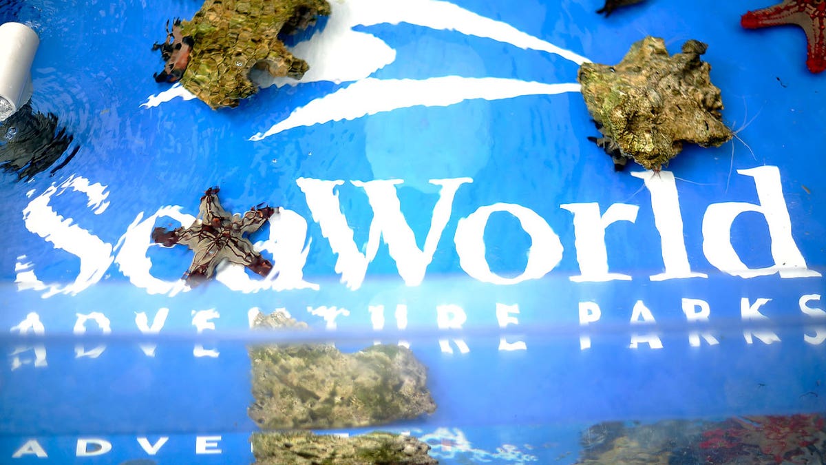 seaworld logo