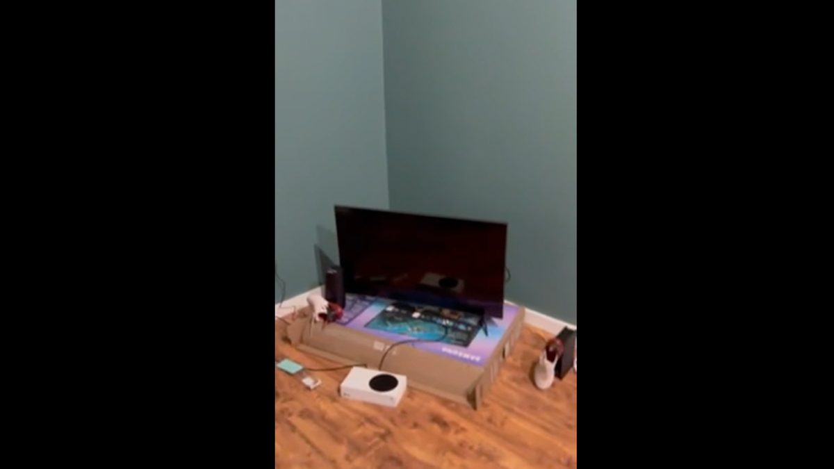 still from video of squatter's effects in living room