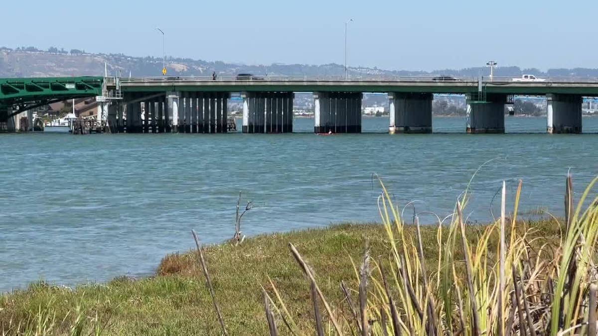 Alameda County shoreline