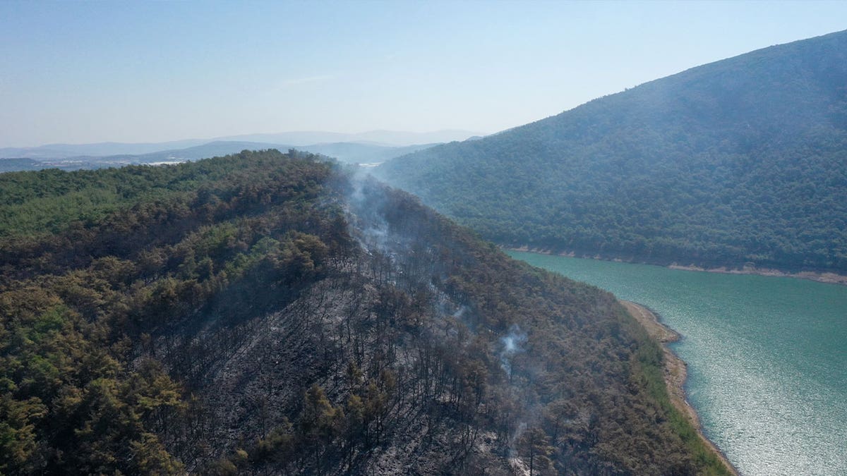 Crews in Turkey search for helicopter that crashed into lake while fighting forest fire 4 forest fire