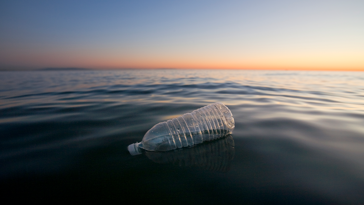 Water bottle on water stock image