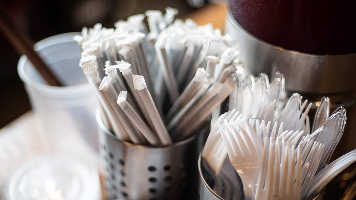 Kamala Harris Flips on Plastic Straw Ban, Part of Pattern of Campaign Position Changes