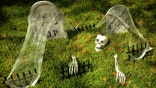 Yard decorated with spider webs, tombstones and skeletons.