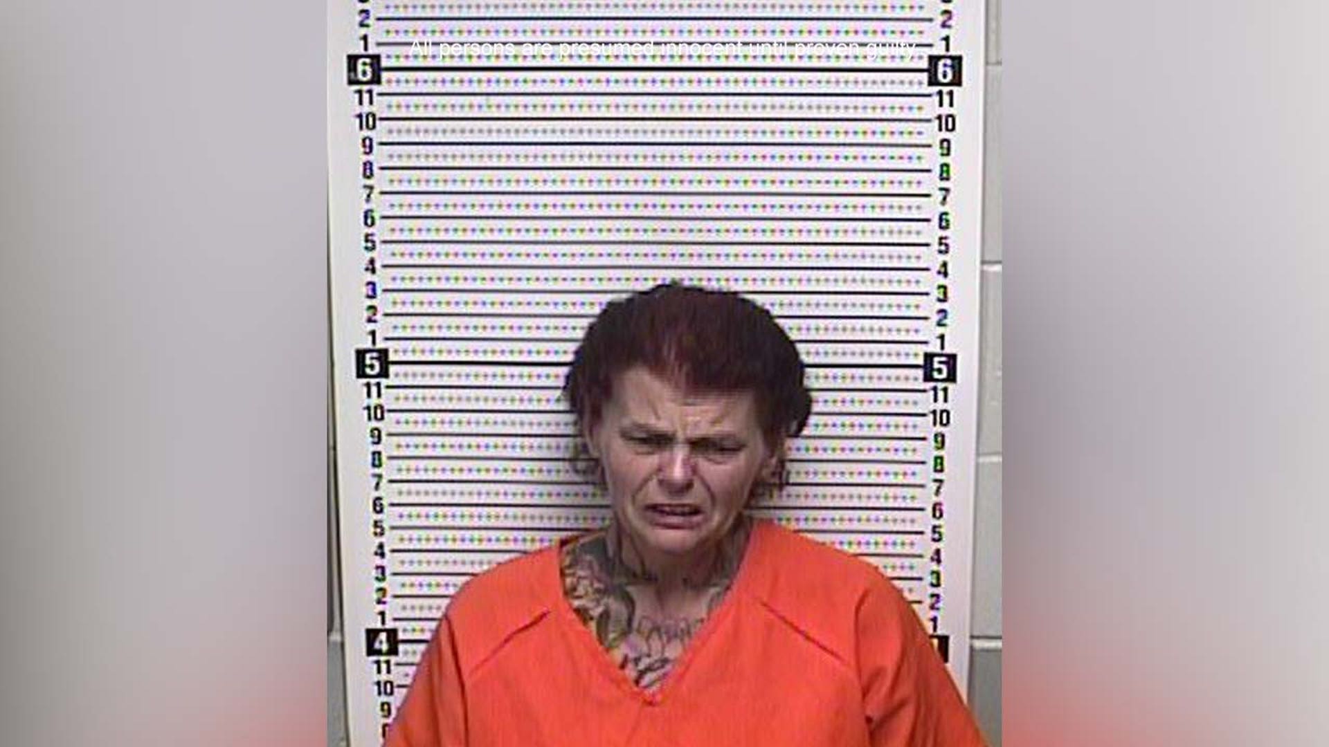 A mugshot of Lisa Holzshuh