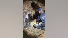 Washington deputy crawls into pipe to rescue injured dog
