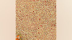 Brain teaser: Can you find 4 apples hidden in the fall leaves?