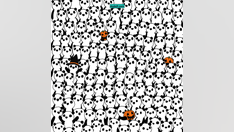 Brain teaser: Can you find the 3 ghosts hidden among the pandas?