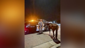 California police arrest alleged drunken horseman for DUI: 'impaired riding'
