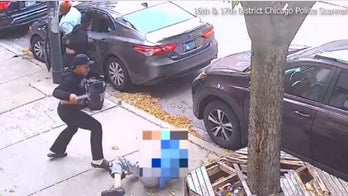 Chicago man beaten and carjacked by group of females in violent attack