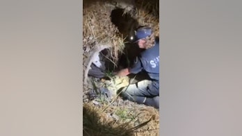 Washington deputy crawls into pipe to rescue injured dog