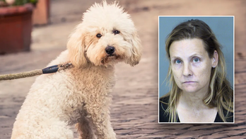 Arizona woman arrested for keeping dozens of dogs in squalor, others dead in freezer