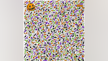 Halloween candy brain teaser: Can you find the hidden spider and candy corn?