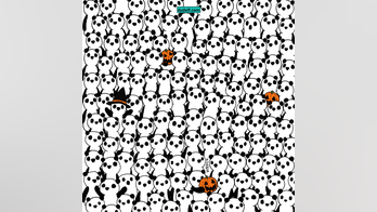 Brain teaser: Can you find the 3 ghosts hidden among the pandas?