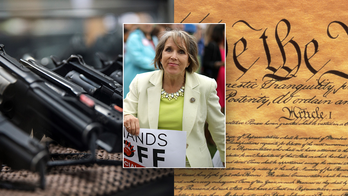 New Mexico governor's gun order is 'blatantly unconstitutional,' leaves abuse victims vulnerable: Experts