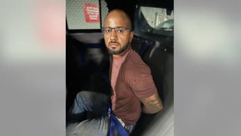 Texas dog owner arrested after pet attacks 68-year-old man: police