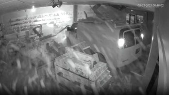 Van crashes into Michigan Lego resale shop; driver on the loose