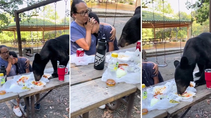 Mother shields son's face as bear devours food on picnic table in Mexico