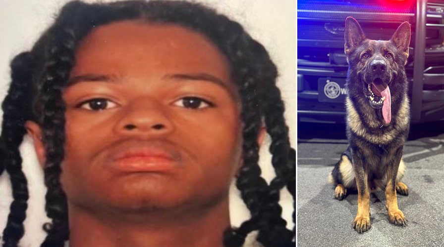 Georgia Suspect, 17, Killed After Fatally Shooting Police K-9 ...