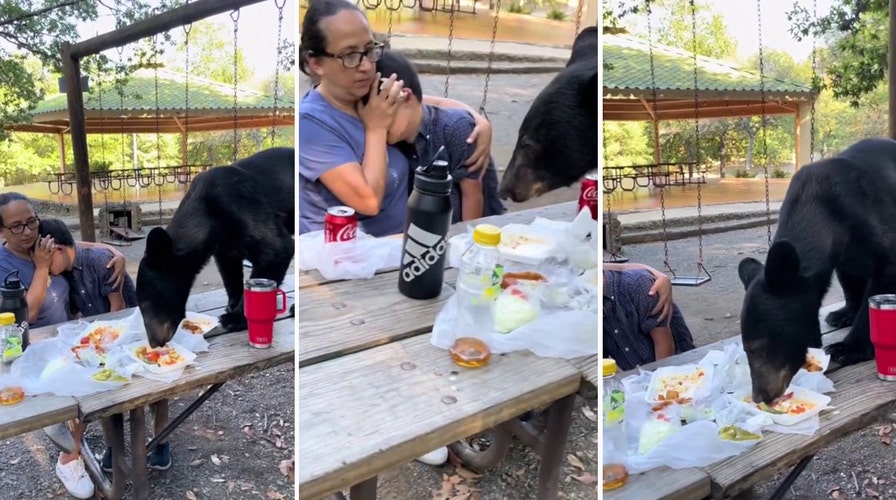 Mother shields son's face as bear devours food on picnic table in Mexico