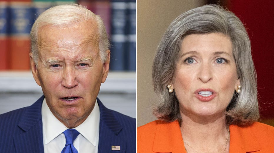 GOP senator introduces bill to defend gun dealers from Biden’s ‘gun-grabbing agenda’: ‘Extremist policies’