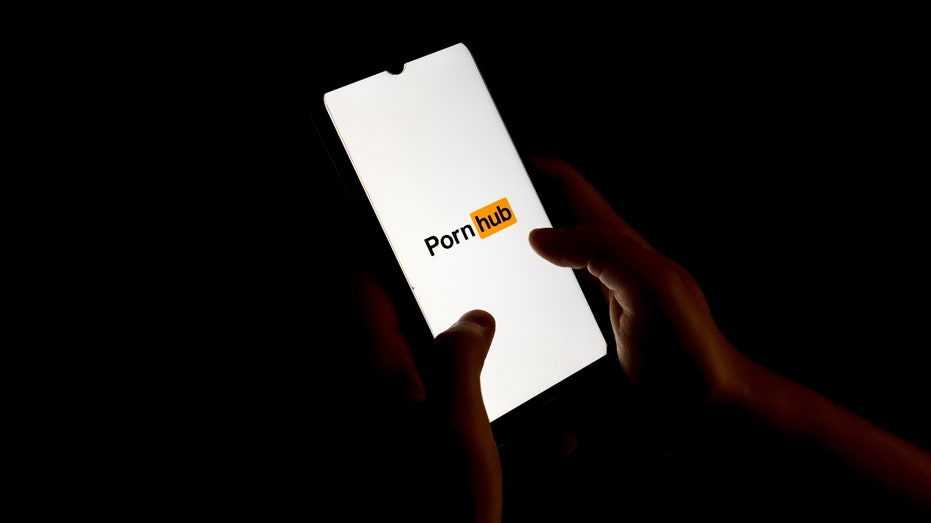 GOP lawmaker introduces bill requiring age verification technology for porn sites