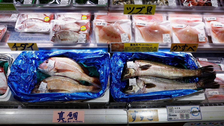 Russia weighs ban on Japanese seafood imports over Fukushima water release