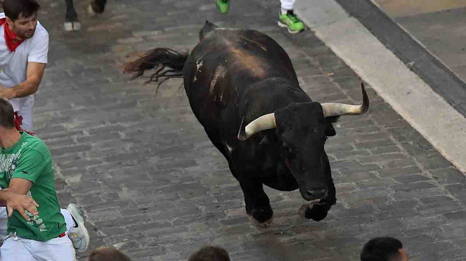 Bull gores, kills man at festival in Spain