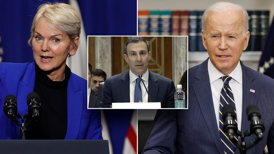 Failed Biden nominee quietly appointed to top role overseeing war on household appliances