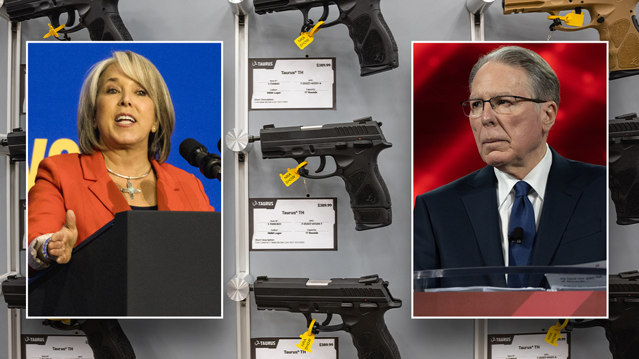 NRA gets unanimous GOP backing in suit to dismantle governor’s ‘unlawful’ gun order