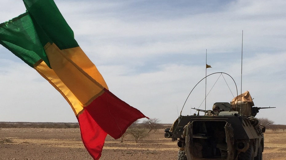 Military-led Mali suspends all political activity until further notice