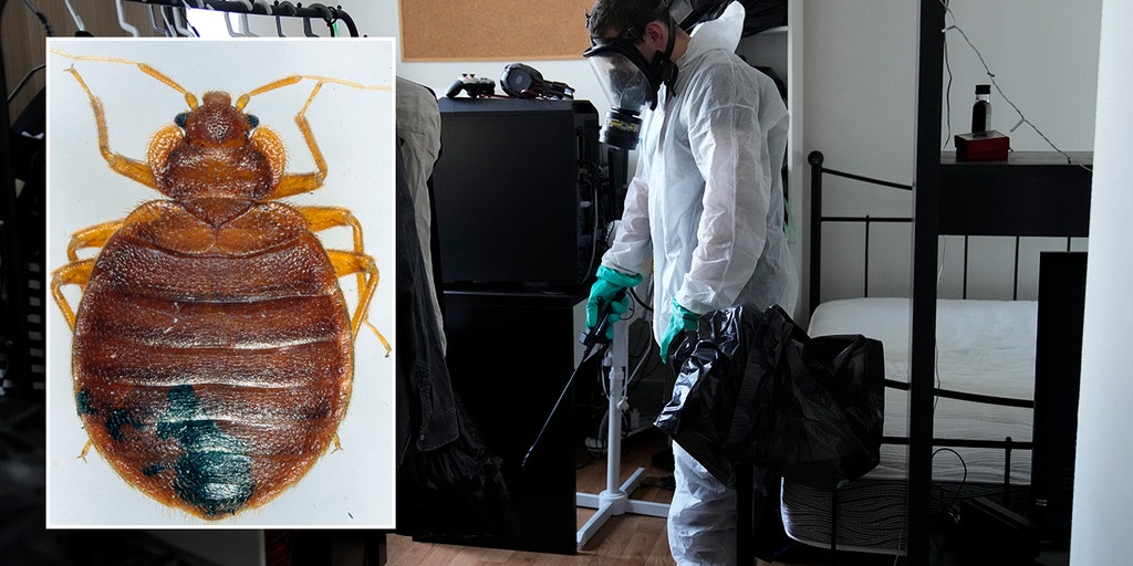 French officials plagued by bedbugs hold emergency meeting ahead of hosting Paris Olympics: 'It's hell' - Vimarsana News