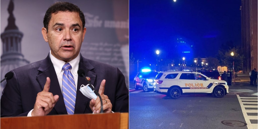 Rep. Henry Cuellar speaks out after carjacking: DC 'more dangerous' than my border district - Vimarsana News