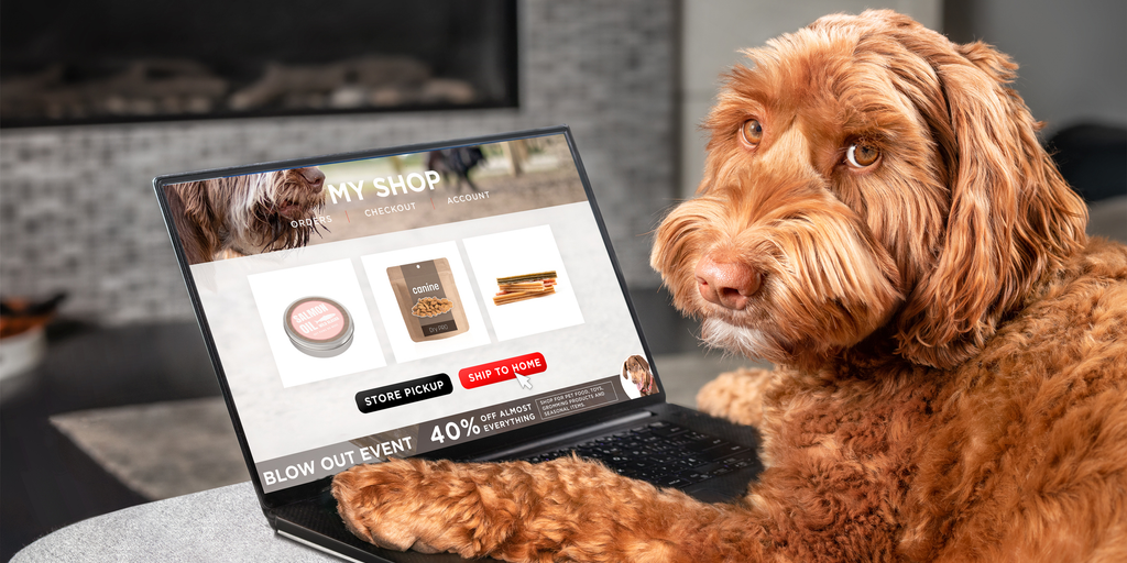 Amazon Prime Big Deal Days offers discounts on pet essentials this October - Vimarsana News