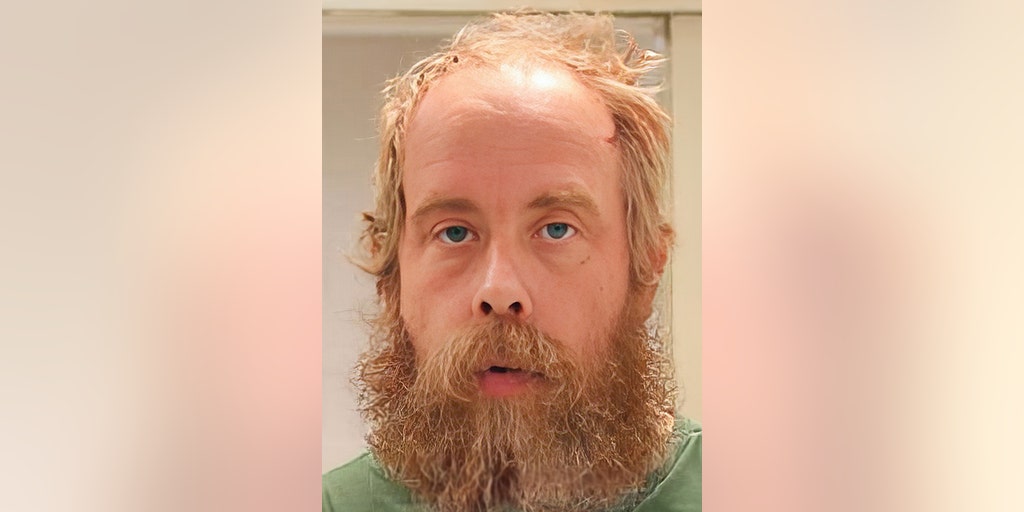 New York police were hunting Charlotte Sena suspect vehicle hours before fingerprints came back - Vimarsana News