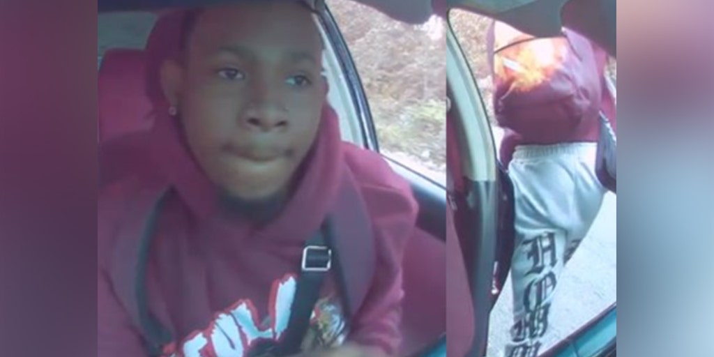 Washington DC teenager carjacks rideshare driver after refusing to allow passenger's dog in car: police - Vimarsana News