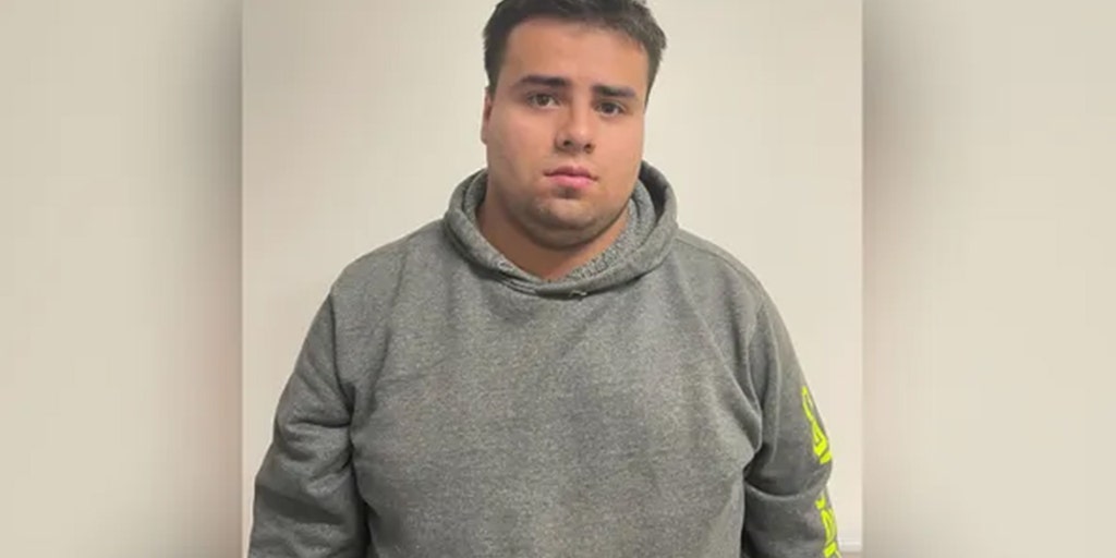 Teen accused of intentionally striking, paralyzing Maryland officer: police - Vimarsana News