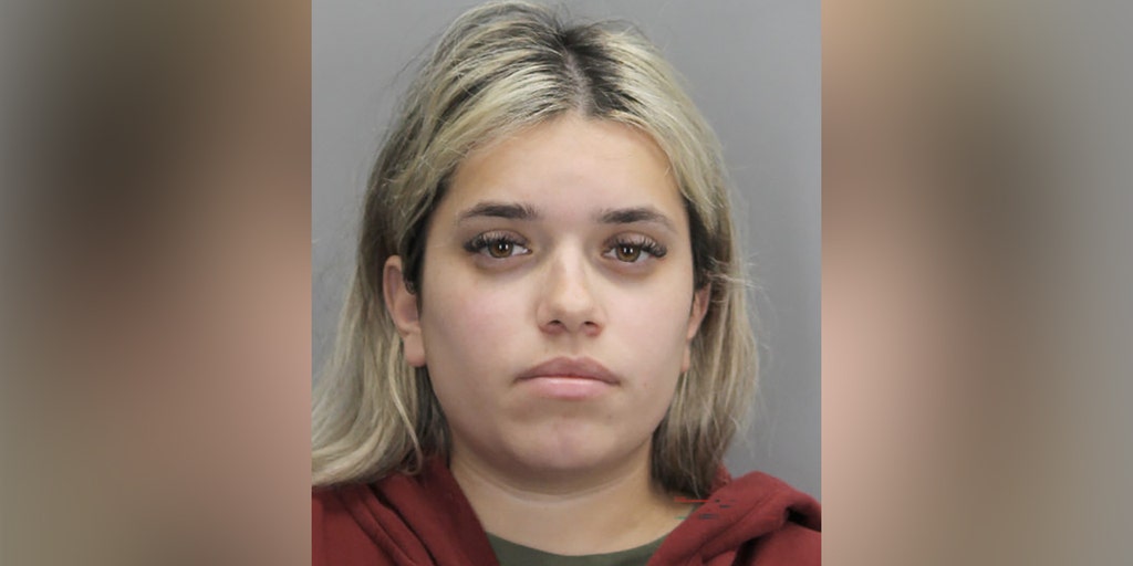 Virginia au pair charged in man's murder at home of double homicide: police - Vimarsana News