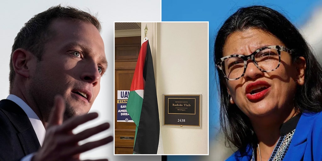 Who is Rashida Tlaib, why was the Palestinian-American lawmaker