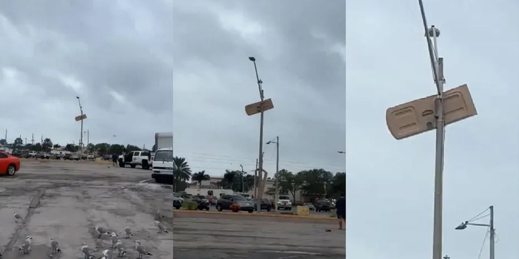 Florida storms send porta-potty door flying, impales into a light pole: 'National flag of Florida' - Vimarsana News