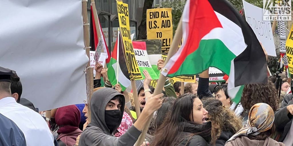 Pro-Palestinian protesters blame Israel for Hamas terror attack in 'repugnant' demonstrations - Vimarsana News