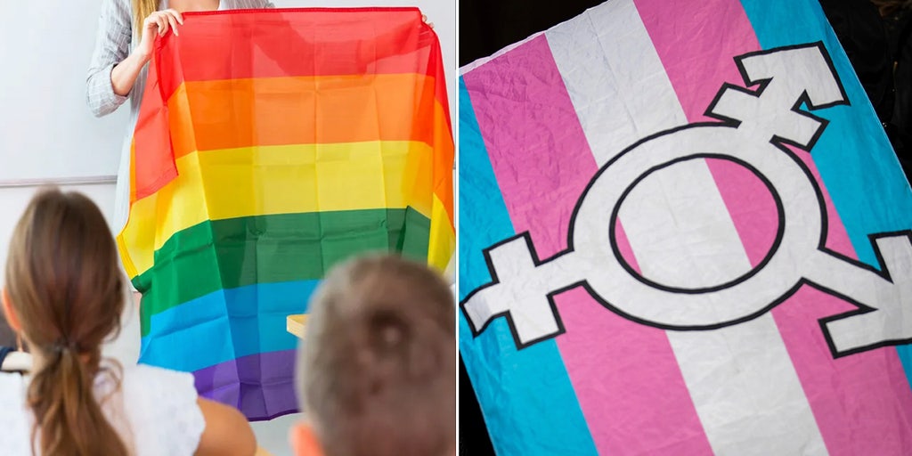 Professor and biologist bashed for questioning the existence of two genders in op-ed: Depends on 'context' - Vimarsana News